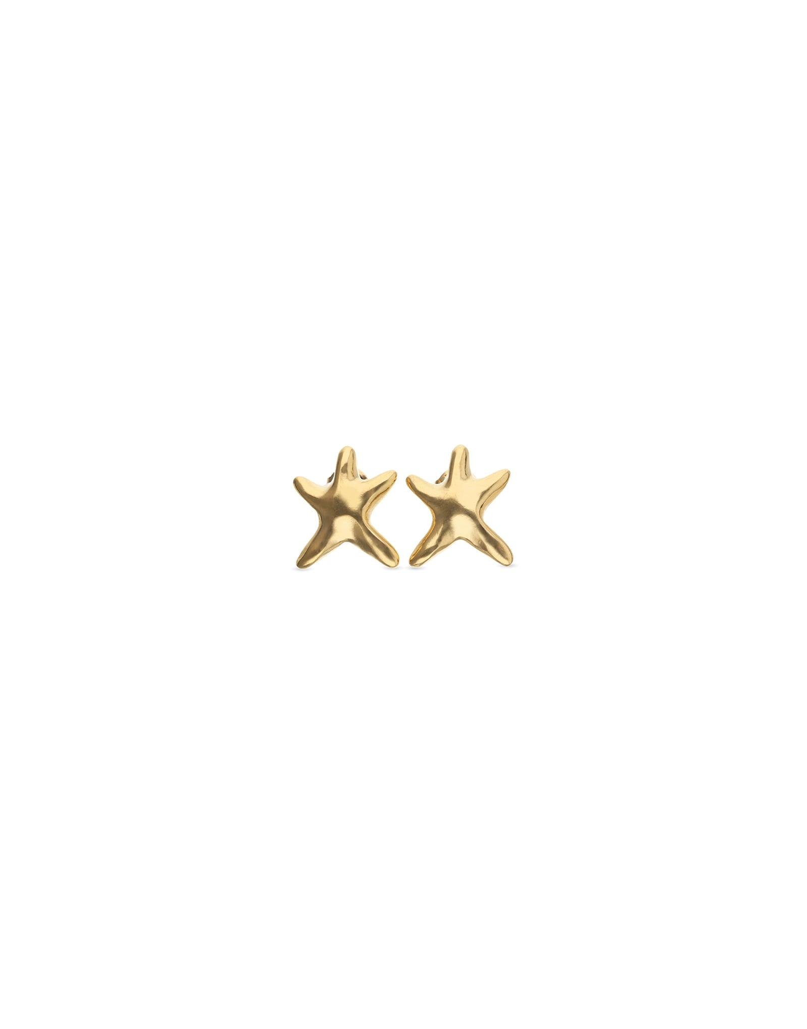 Small starfish earrings