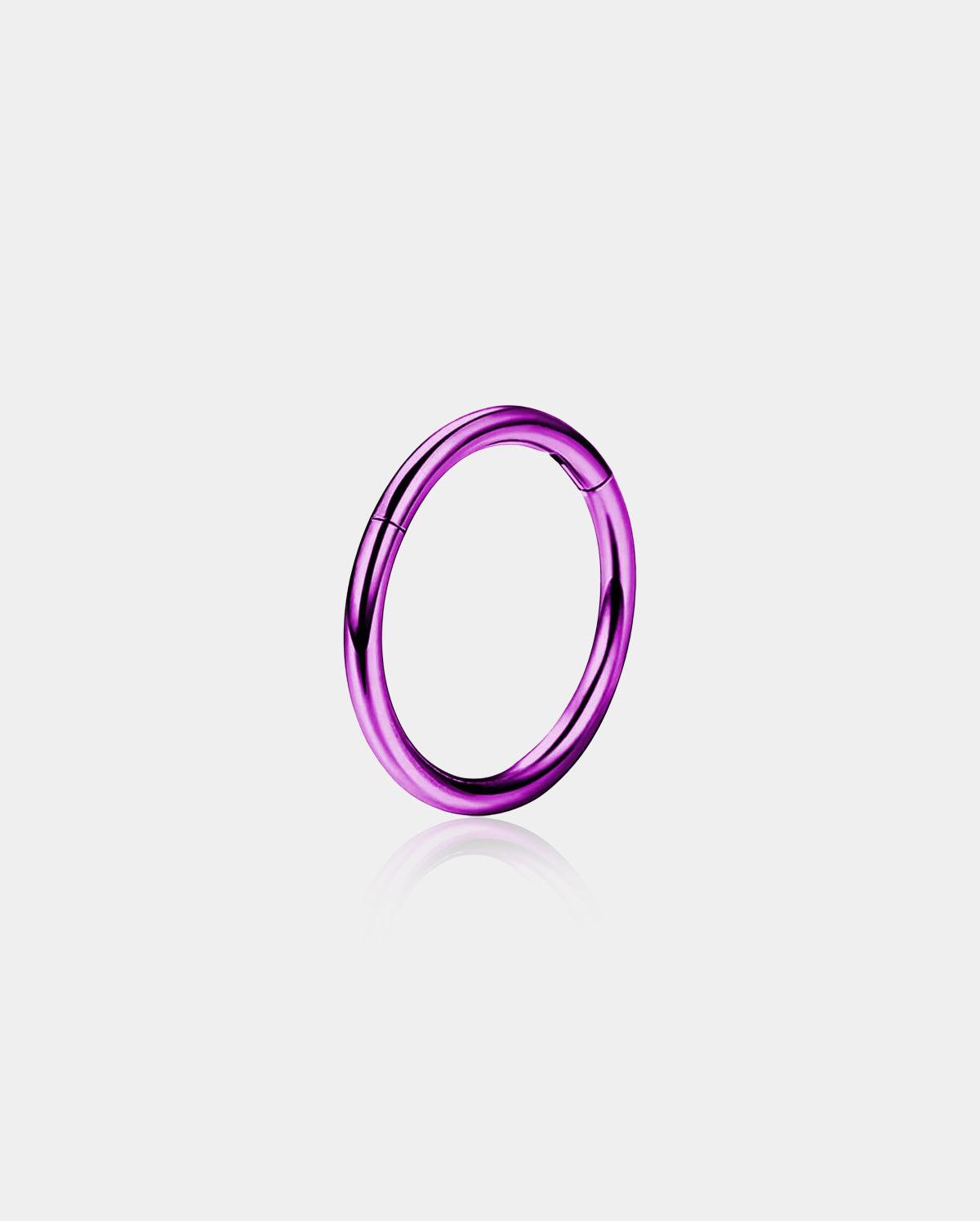 Titanium Hinged Segment Nose Ring - Purple / 6mm