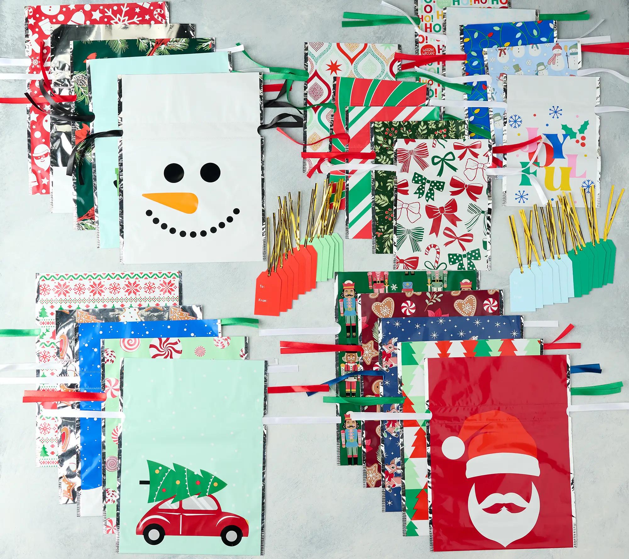 Kringle Express 50-pc Small and Medium Gift Bags Set