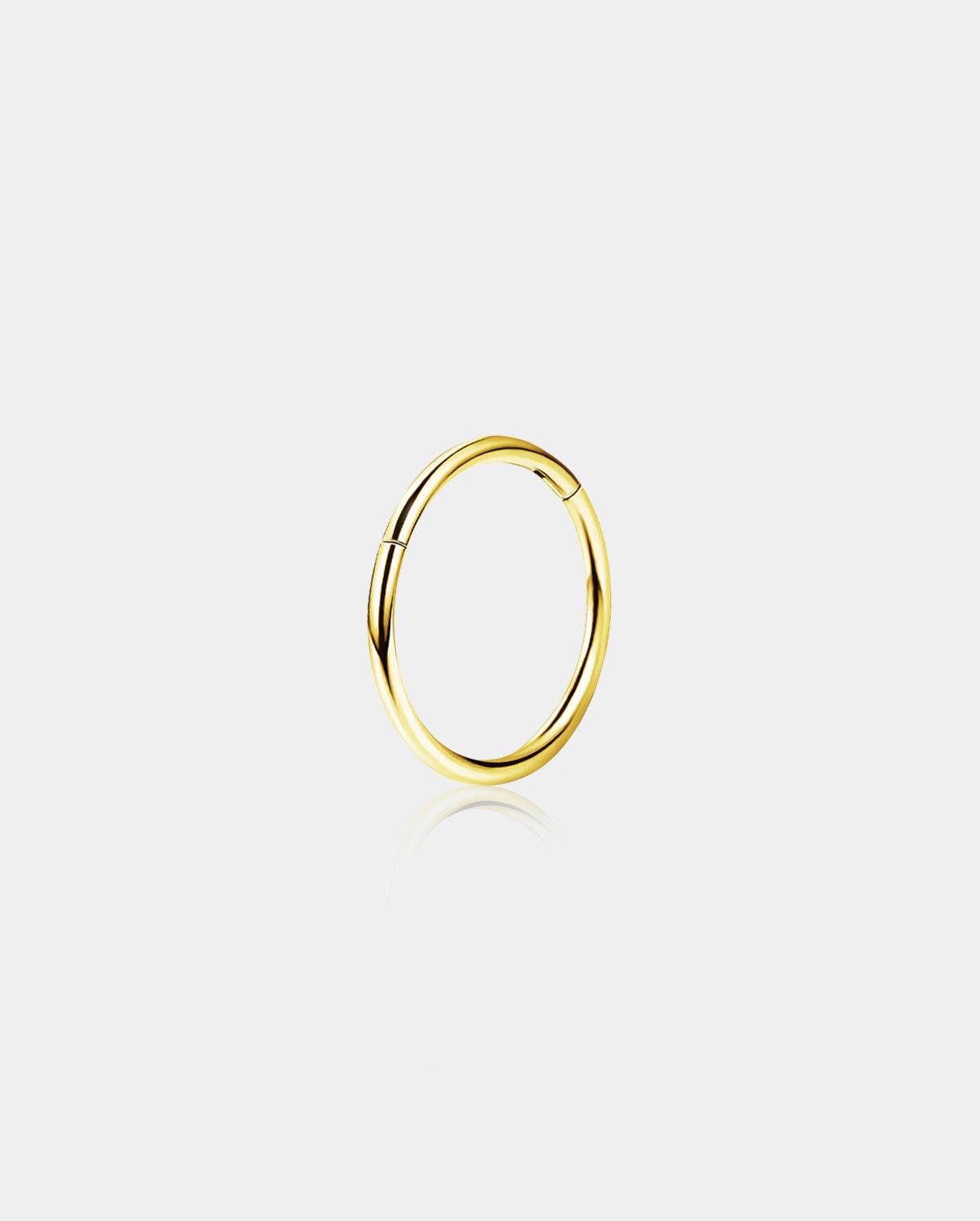 20G 14K Gold Minimalist Segment Nose Hoop - 10mm