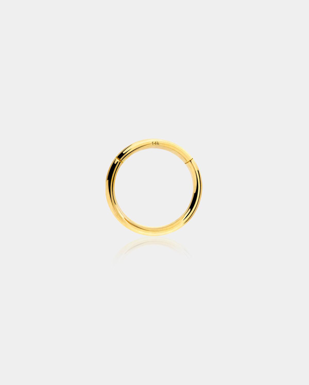 18G 14K Gold Segment Nose Hoop - 7mm