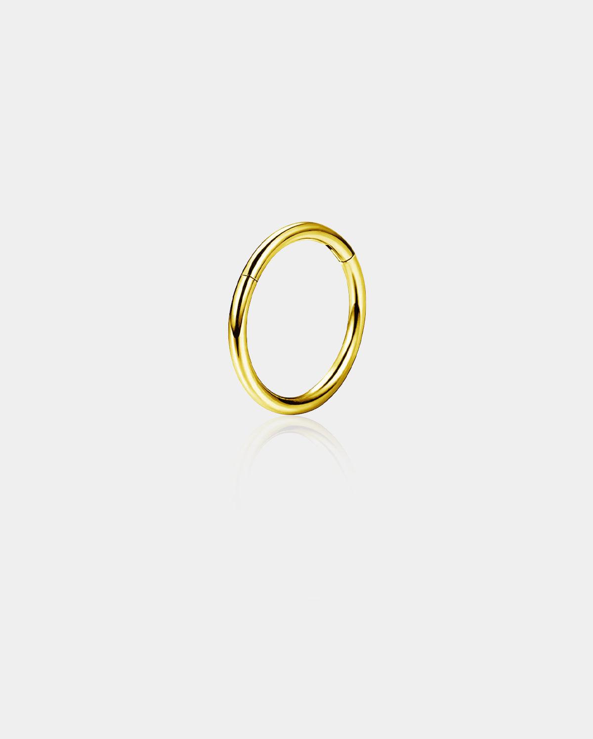 Titanium Hinged Segment Nose Ring - Gold / 5mm